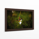 Polinizadores - Alan050 | Cuadro decorativo de Canvas Lab