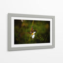 Polinizadores - Alan050 | Cuadro decorativo de Canvas Lab