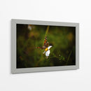 Polinizadores - Alan050 | Cuadro decorativo de Canvas Lab