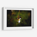 Polinizadores - Alan050 | Cuadro decorativo de Canvas Lab