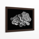 Bellas suculentas | Cuadro decorativo de Canvas Lab