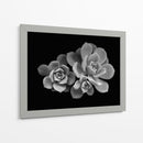 Bellas suculentas | Cuadro decorativo de Canvas Lab