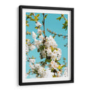 Blanco florecer | Cuadro decorativo de Canvas Lab