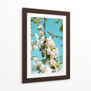 Blanco florecer | Cuadro decorativo de Canvas Lab