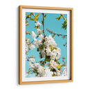 Blanco florecer | Cuadro decorativo de Canvas Lab