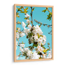 Blanco florecer | Cuadro decorativo de Canvas Lab