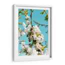 Blanco florecer | Cuadro decorativo de Canvas Lab