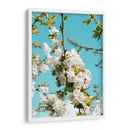 Blanco florecer | Cuadro decorativo de Canvas Lab