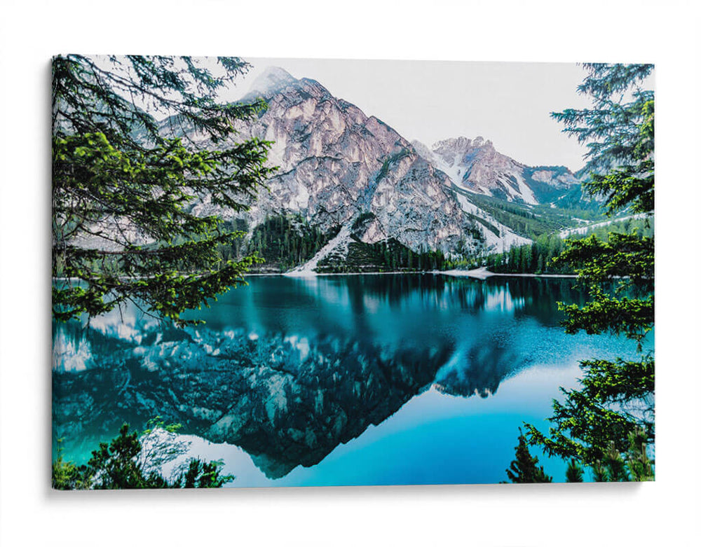 Bosque nevado | Cuadro decorativo de Canvas Lab