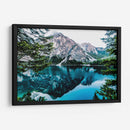 Bosque nevado | Cuadro decorativo de Canvas Lab