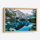 Bosque nevado | Cuadro decorativo de Canvas Lab