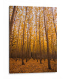 Bosque vertical | Cuadro decorativo de Canvas Lab