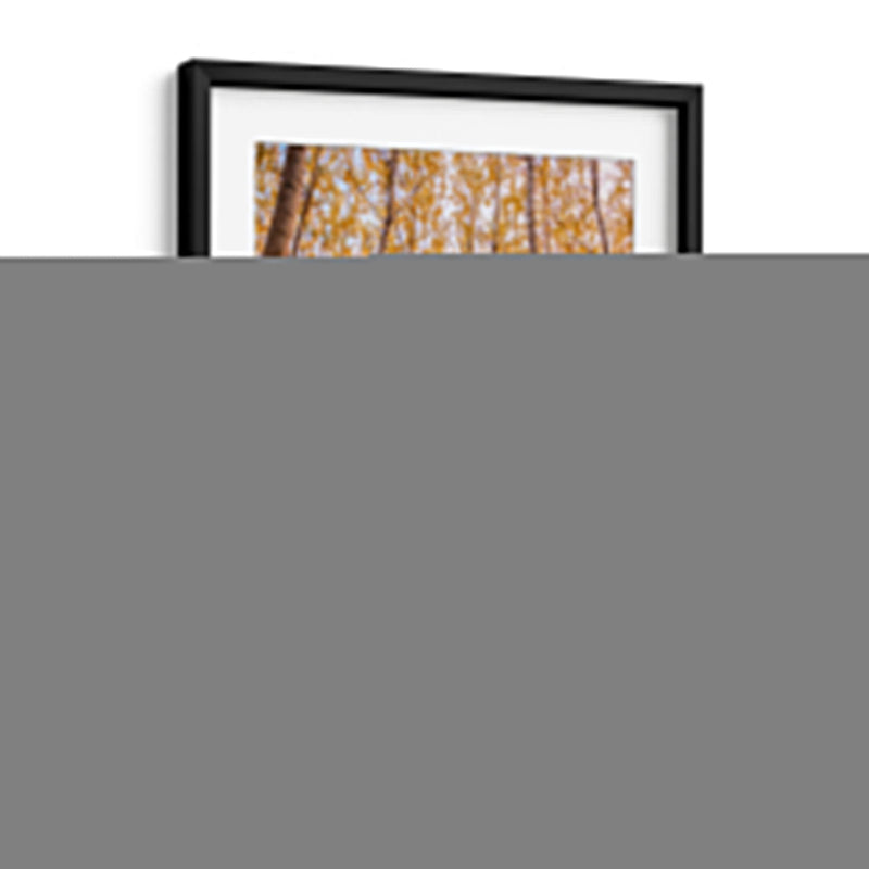 Bosque vertical | Cuadro decorativo de Canvas Lab