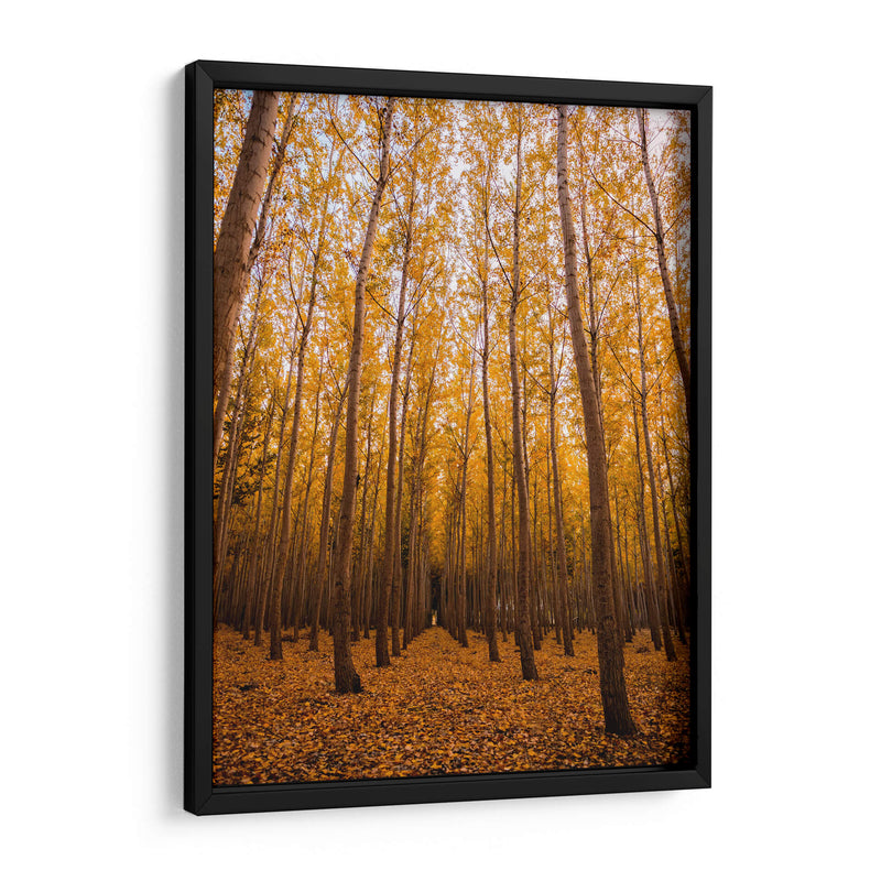 Bosque vertical | Cuadro decorativo de Canvas Lab