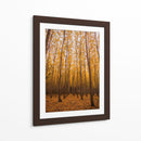 Bosque vertical | Cuadro decorativo de Canvas Lab