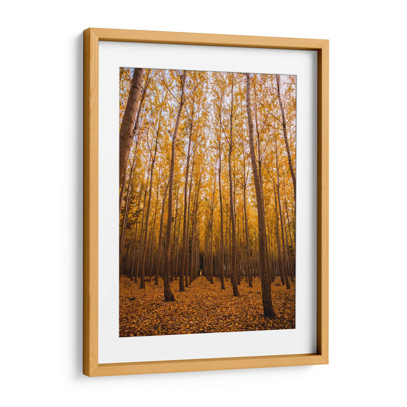 Bosque vertical | Cuadro decorativo de Canvas Lab
