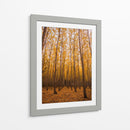 Bosque vertical | Cuadro decorativo de Canvas Lab