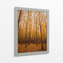 Bosque vertical | Cuadro decorativo de Canvas Lab