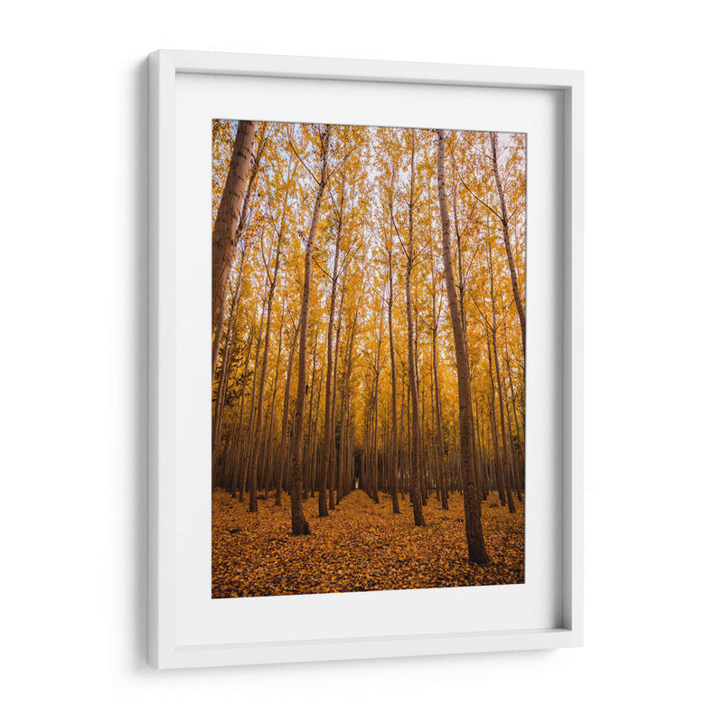 Bosque vertical | Cuadro decorativo de Canvas Lab