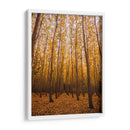 Bosque vertical | Cuadro decorativo de Canvas Lab