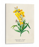 Detalle amarillo | Cuadro decorativo de Canvas Lab