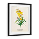 Detalle amarillo | Cuadro decorativo de Canvas Lab