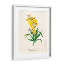 Detalle amarillo | Cuadro decorativo de Canvas Lab
