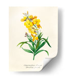 Detalle amarillo | Cuadro decorativo de Canvas Lab