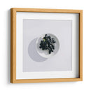 Bowl de uvas | Cuadro decorativo de Canvas Lab
