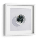 Bowl de uvas | Cuadro decorativo de Canvas Lab