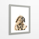 Bunny Front Chill - Hue Art | Cuadro decorativo de Canvas Lab