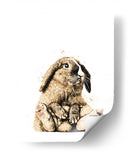 Bunny Front Chill - Hue Art | Cuadro decorativo de Canvas Lab