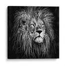 Líneas de León - Line Art | Cuadro decorativo de Canvas Lab