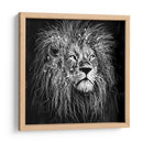 Líneas de León - Line Art | Cuadro decorativo de Canvas Lab