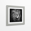 Líneas de León - Line Art | Cuadro decorativo de Canvas Lab