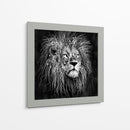 Líneas de León - Line Art | Cuadro decorativo de Canvas Lab