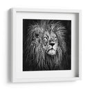 Líneas de León - Line Art | Cuadro decorativo de Canvas Lab