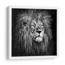 Líneas de León - Line Art | Cuadro decorativo de Canvas Lab