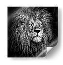 Líneas de León - Line Art | Cuadro decorativo de Canvas Lab