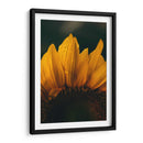 Brisa sobre el girasol | Cuadro decorativo de Canvas Lab