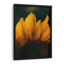 Brisa sobre el girasol | Cuadro decorativo de Canvas Lab