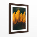 Brisa sobre el girasol | Cuadro decorativo de Canvas Lab
