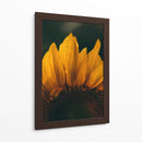 Brisa sobre el girasol | Cuadro decorativo de Canvas Lab