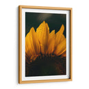 Brisa sobre el girasol | Cuadro decorativo de Canvas Lab