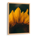 Brisa sobre el girasol | Cuadro decorativo de Canvas Lab