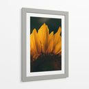 Brisa sobre el girasol | Cuadro decorativo de Canvas Lab