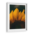 Brisa sobre el girasol | Cuadro decorativo de Canvas Lab