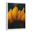 Brisa sobre el girasol | Cuadro decorativo de Canvas Lab