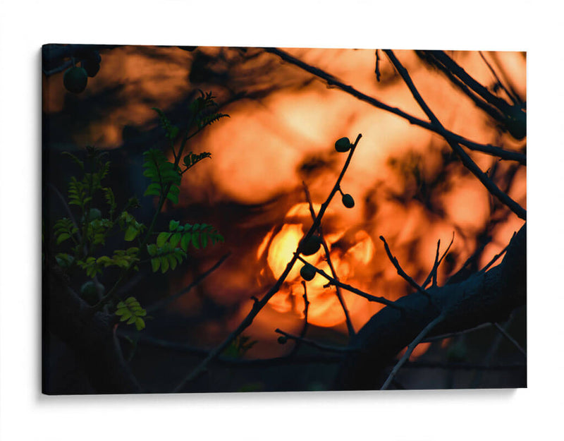 Abstraction II - PhotoVicz | Cuadro decorativo de Canvas Lab