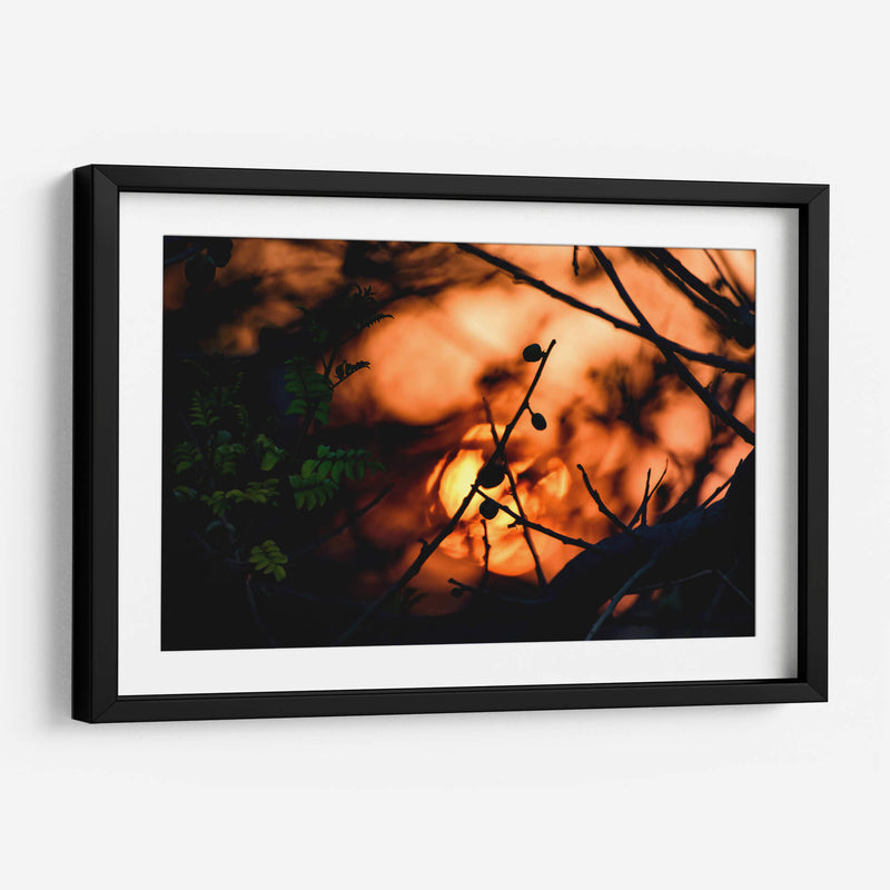 Abstraction II - PhotoVicz | Cuadro decorativo de Canvas Lab